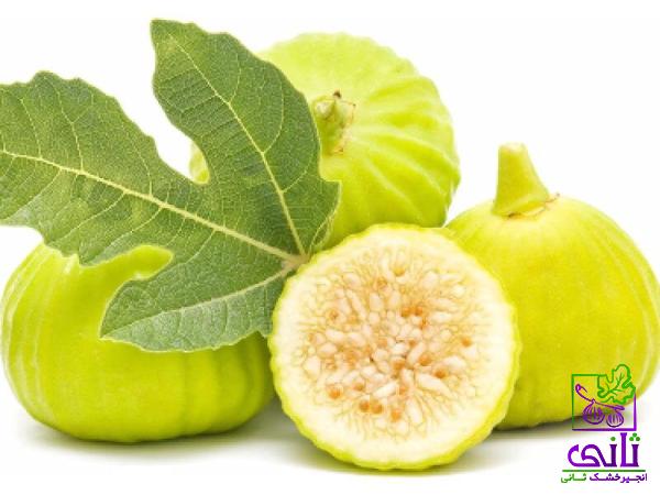 راهنمای خرید انجیر خشک برای بهبود هضم غذا + قیمت عالی